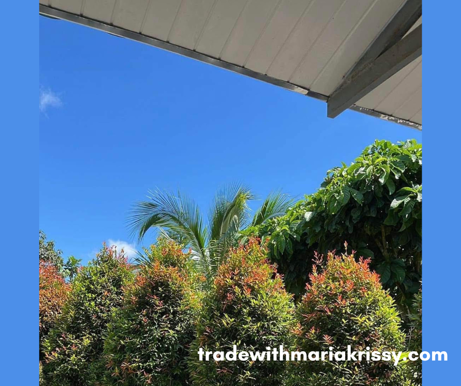 Php15K salary and trade or Php100K abroad?